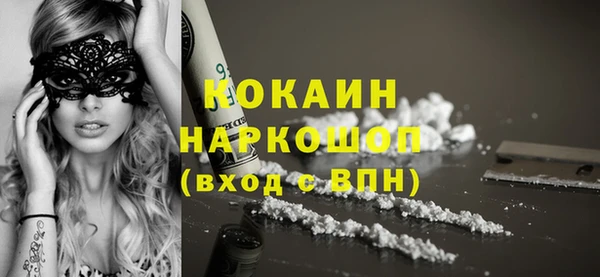 шишки Вязники