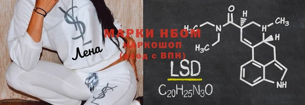индика Дмитров