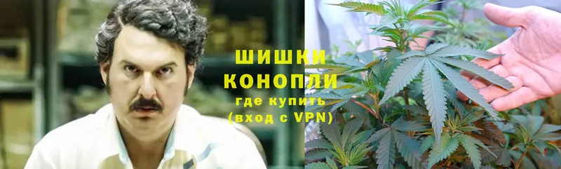 мега сайт  Ельня  Марихуана Ganja  что такое  